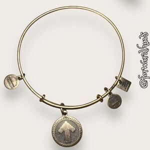 Bundle 3 for $15 | Alex and Ani Charity by Design | Stand Up to Cancer
